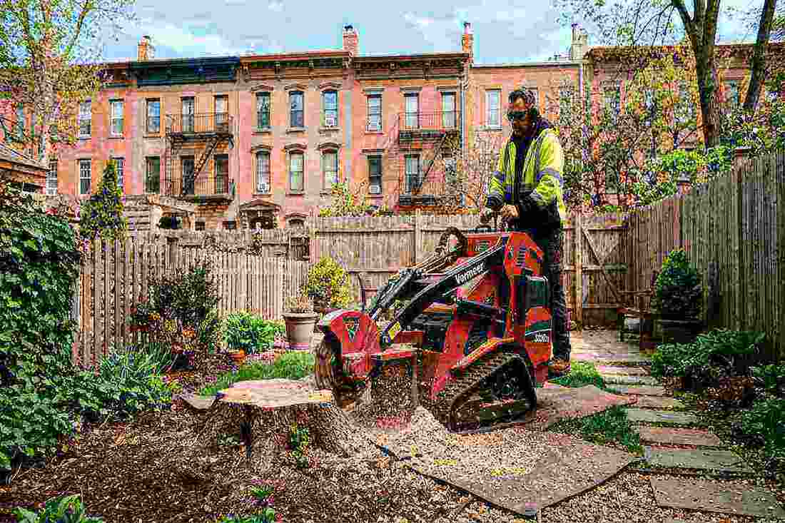 Stump grinding machine operating in Brooklyn backyard