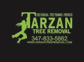 Tarzan Tree Removal, LLC logo