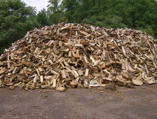 Bulk firewood delivery Brooklyn NY - seasoned hardwood stacked and ready for delivery by Tarzan Tree Removal