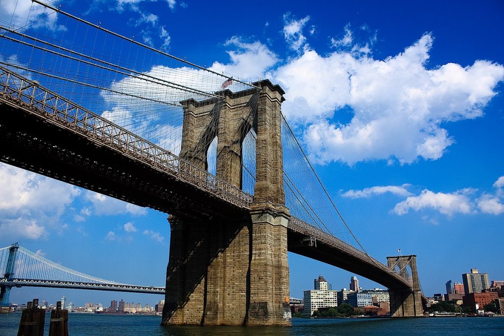 Brooklyn Tree Services