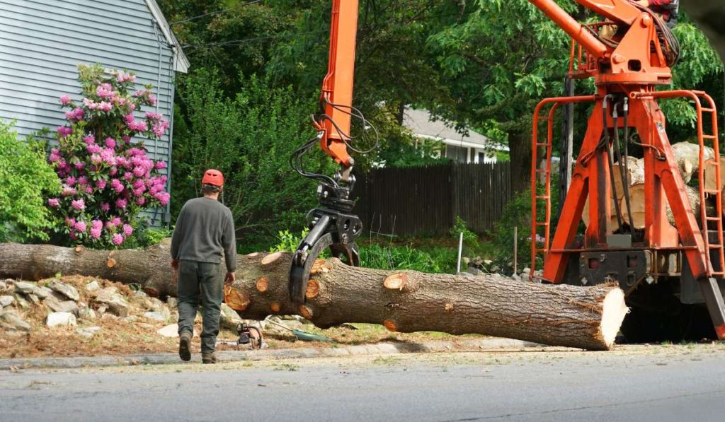 Tree trunk removed by crane in residential area by Tarzan Tree Removal NYC