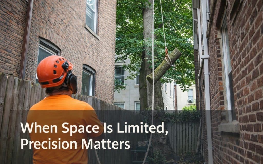 Arborist lowering a cut tree limb with rigging between two NYC brick buildings during tight-space tree removal near a home.